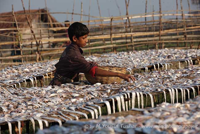 Fishing at Dubla Island, 5